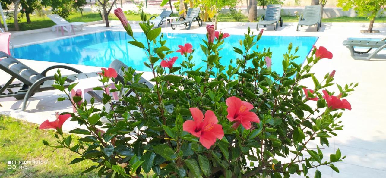 Green Garden Otel Kemer Eksteriør billede