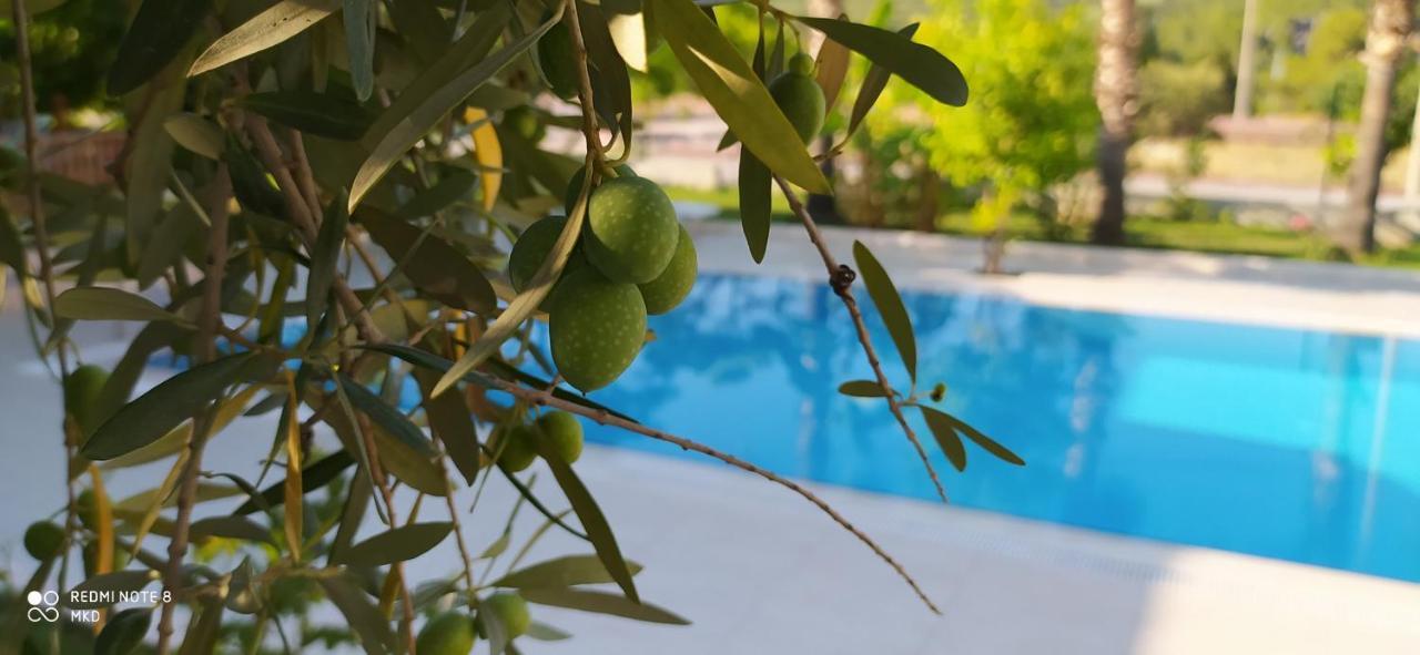 Green Garden Otel Kemer Eksteriør billede