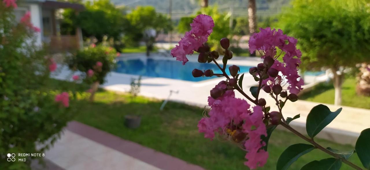 Green Garden Otel Kemer Eksteriør billede