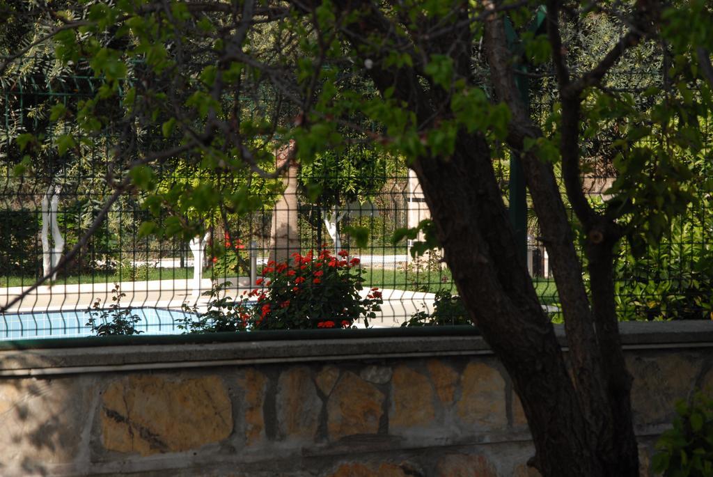 Green Garden Otel Kemer Eksteriør billede
